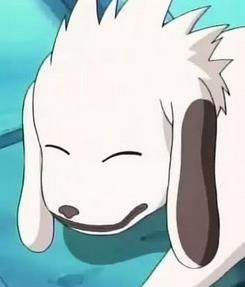 赤丸性别:男,女,其他 |配音:竹内顺子别名:狗登场作品:火影忍者人物