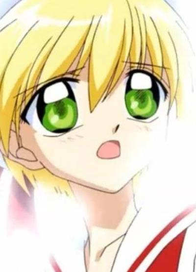 小波人物简介_角色介绍_acgn人物网